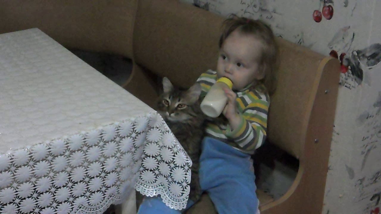 ПОФИГ дилетант