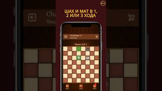 Играй Шахматы бесплатно и будь гроссмейстером screenshot 2
