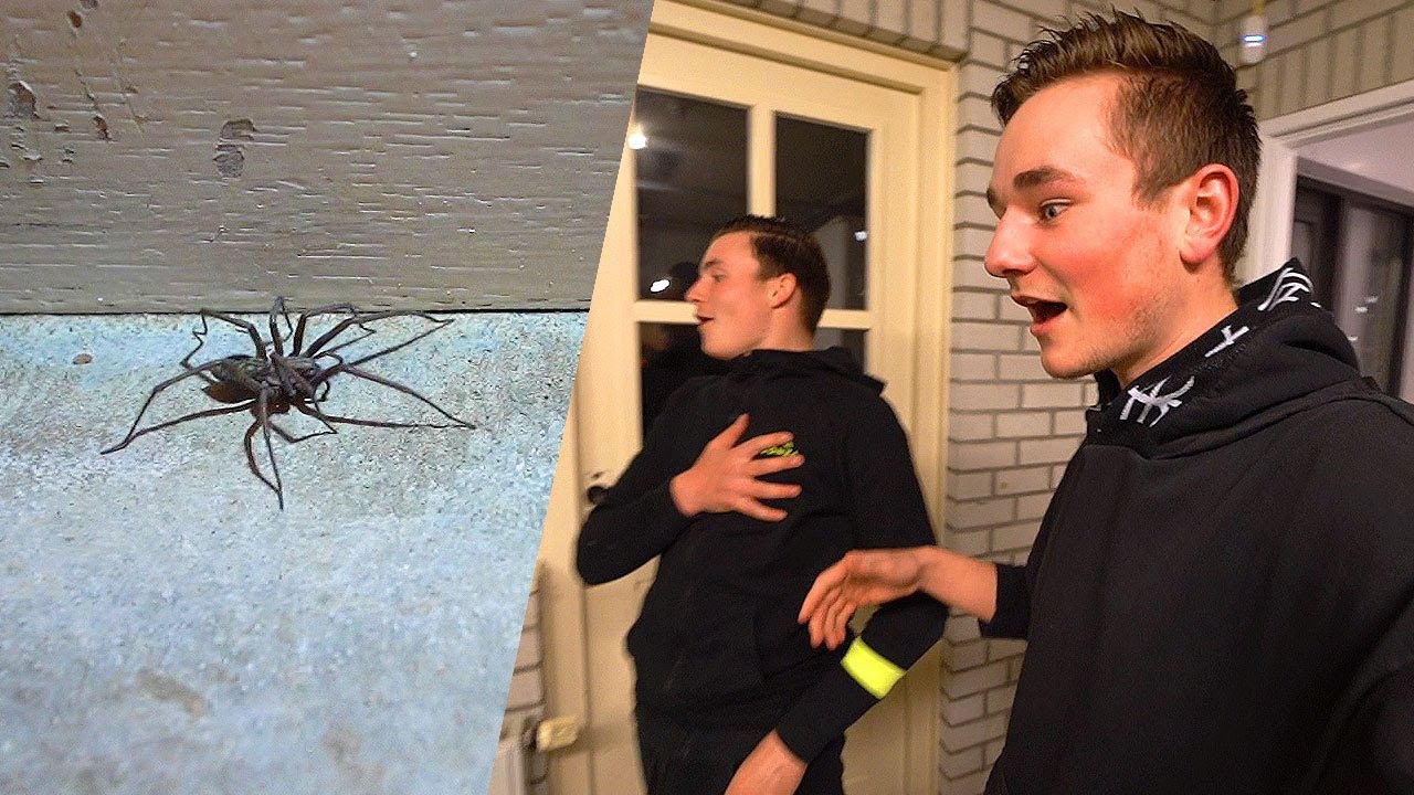 WIJ WORDEN AANGEVALLEN DOOR EEN MEGA SPIN!😂