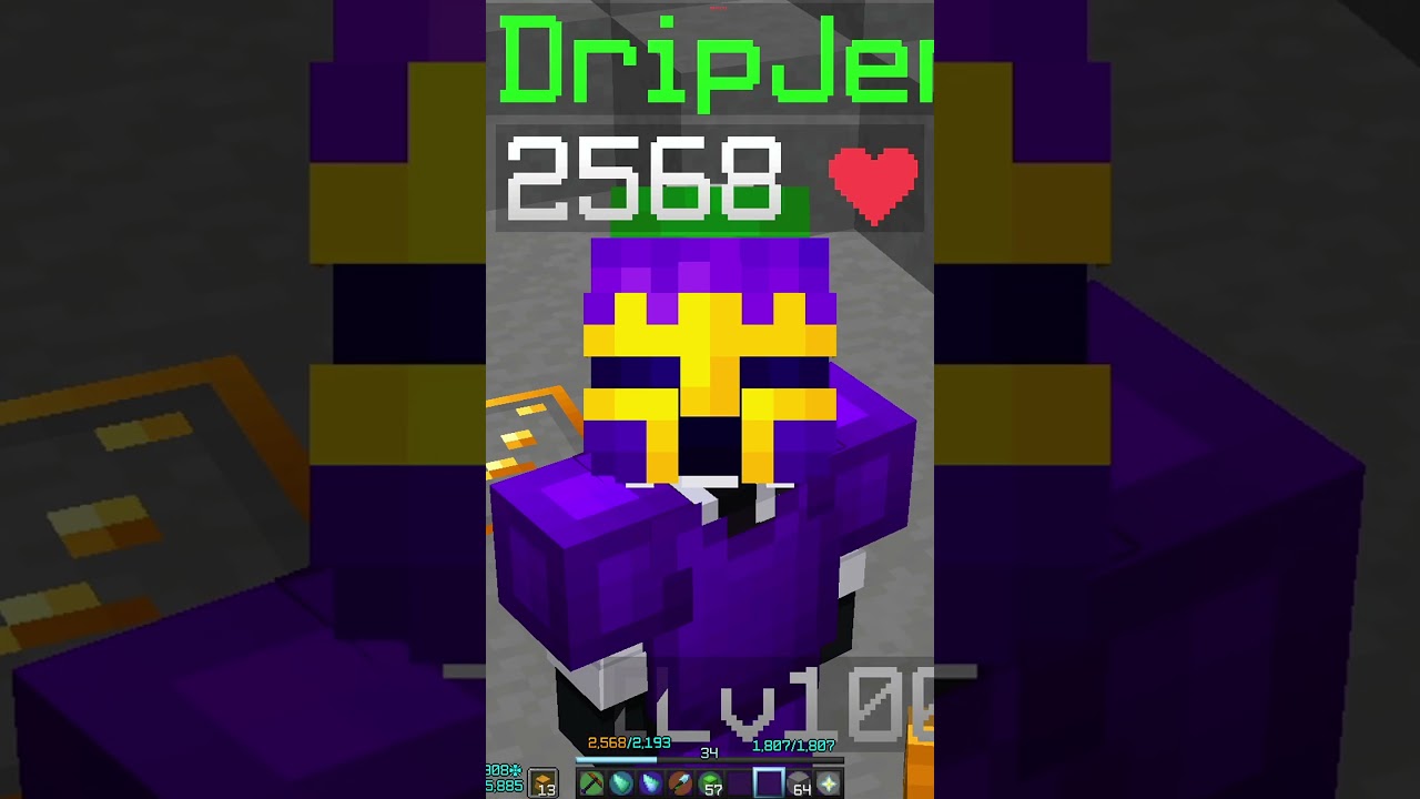 Reviewing YOUR Profiles (2) Hypixel Skyblock