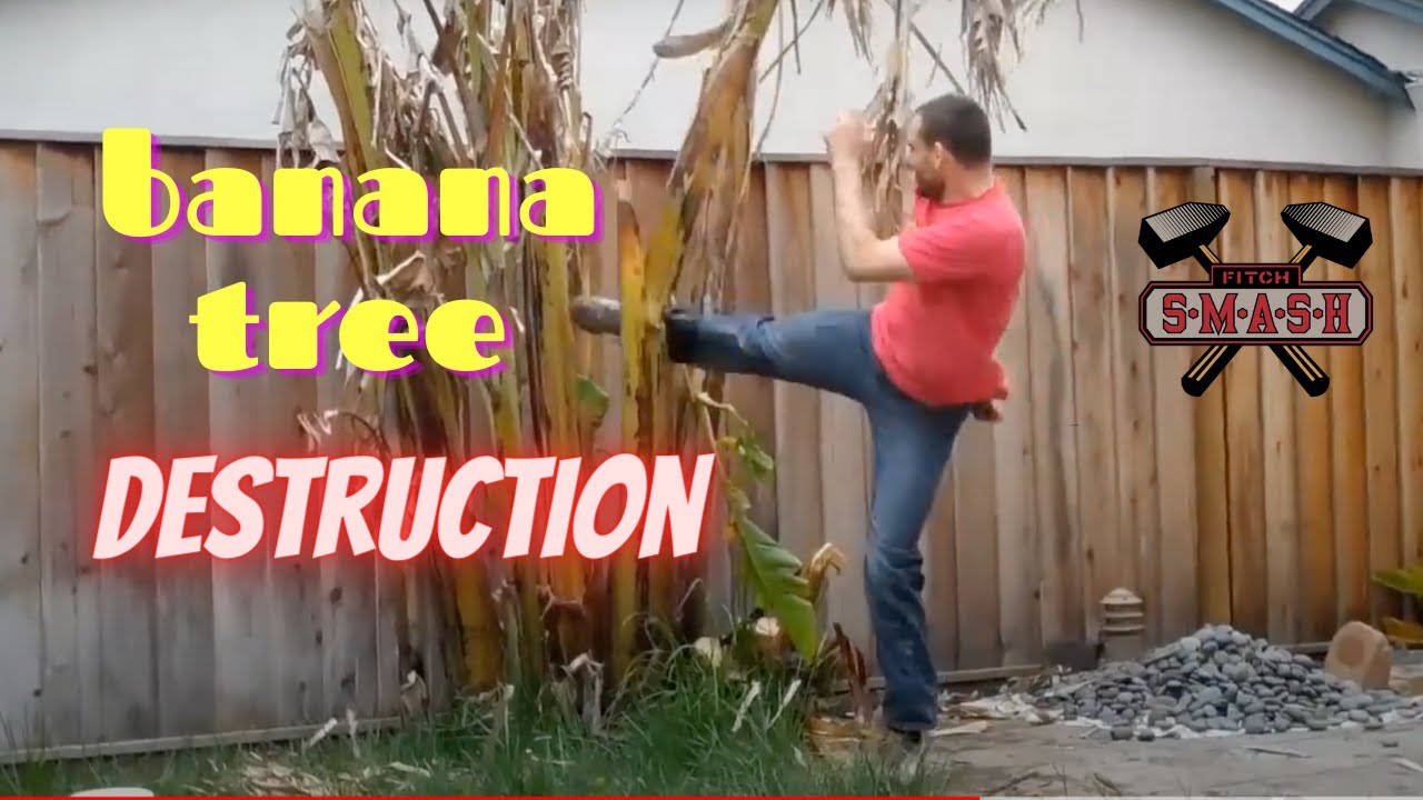 Jon Fitch does Yard Work (Kicks banana tree down) YouTube