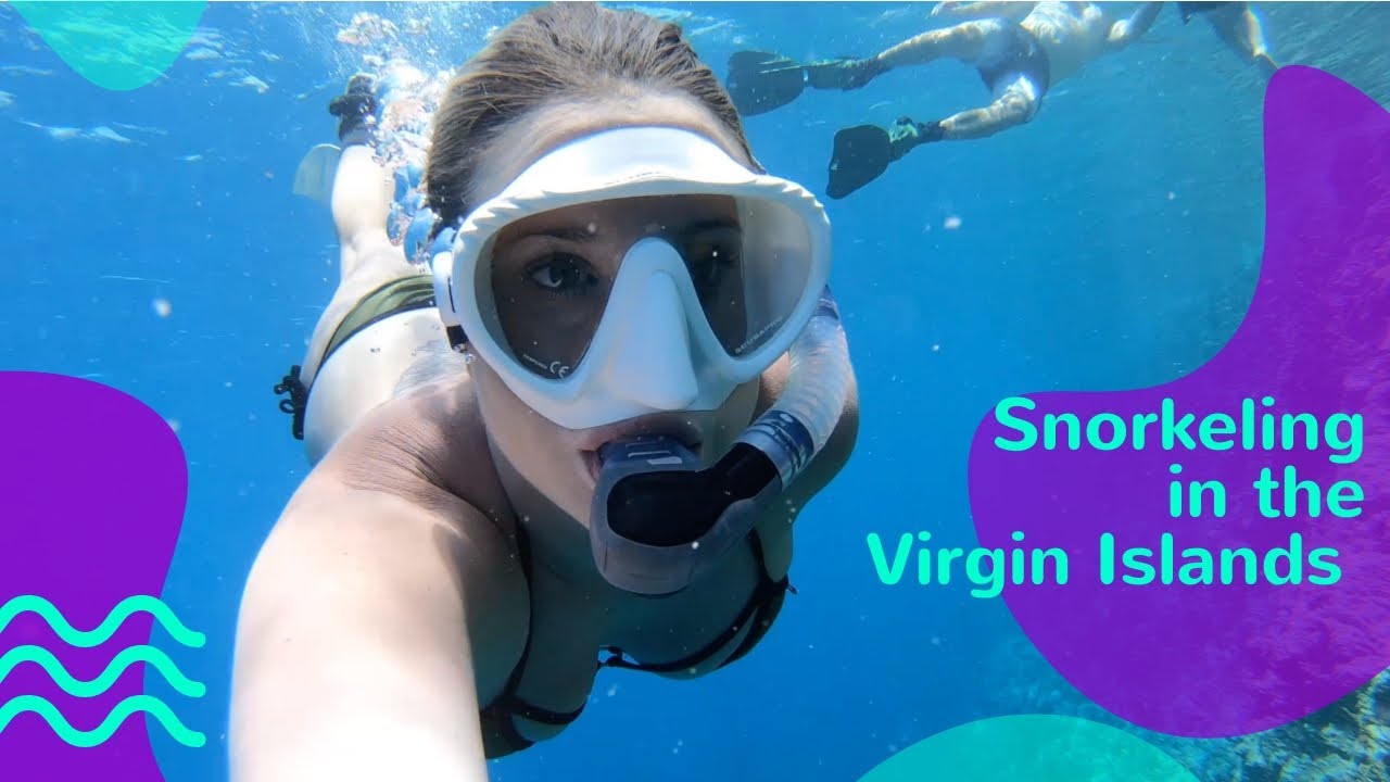 Snorkeling in the Virgin Islands – Lazy Gecko Sailing VLOG 146