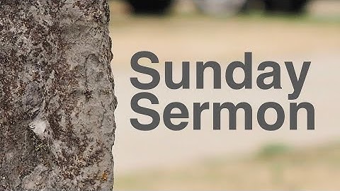 “Fig Tree Lessons” (Matthew 24:32-41)