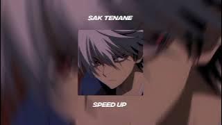 Sak Tenane - speed up 1 jam #speedup #saktenane #1jam