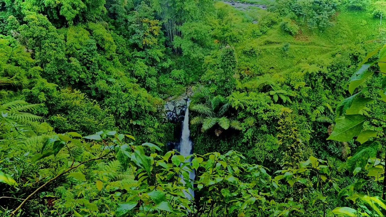 Relaxing River and Birds | Deep Rest