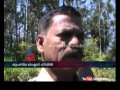 fir1