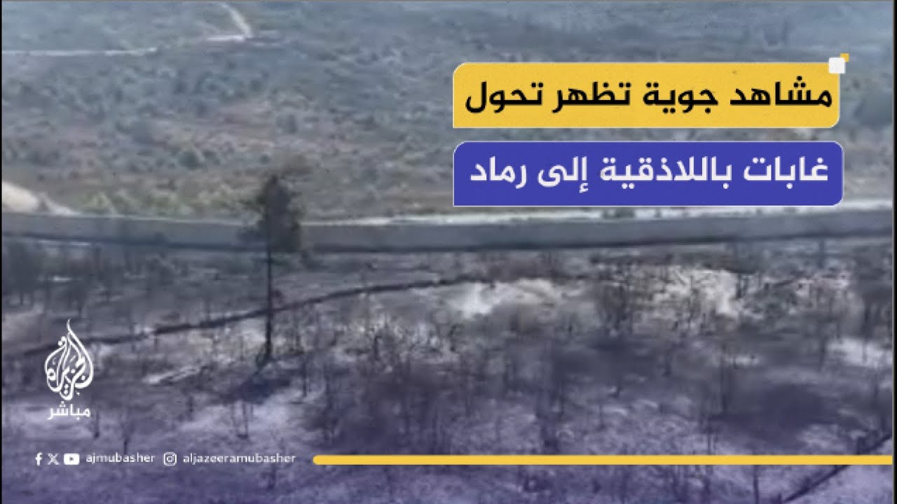فرق الإطفاء تكافح للسيطرة على حرائق الغابات في ريفي حماة واللاذقية