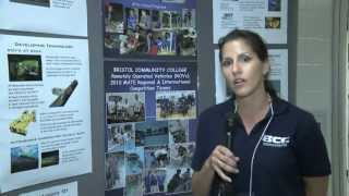 Partners in STEM Education (1)