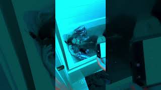 I Need New Roommates Content Creators Are So Obnoxious