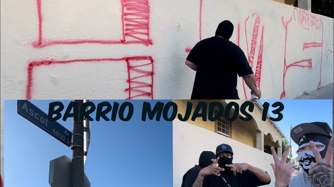 Barrio Mojados 13~ Low Bottoms📍