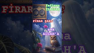 Ssilgeßaykus5N1K.aboneolana Şfetteyiz