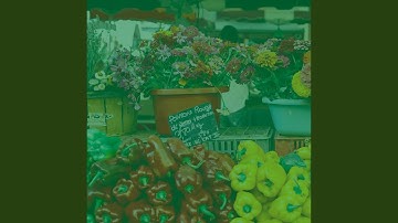 Pulsating Window Shopping