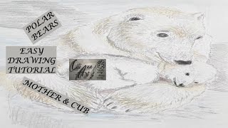 How To Draw A Polar Bear Easy  Pencil Drawing  Polar Bear Facts