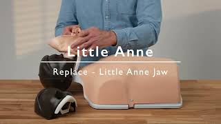 Little Anne - Replace - Little Anne Jaw