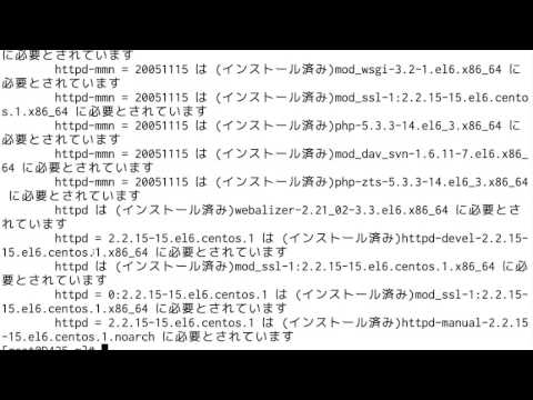 rpmコマンド4