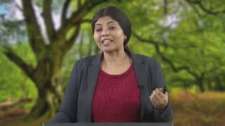 LECTURE 9: EIA ORIGIN IN USA AND WORLD-WIDE DEVELOPMENT #CH29SP #swayamprabha