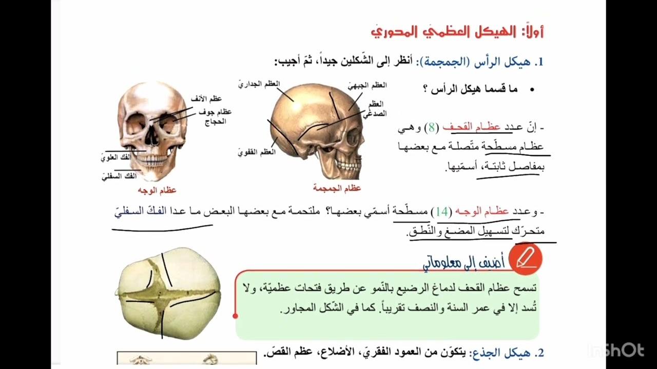الدرس الأول الهيكل العظمي الوحدة الأولى علوم الصف التاسع