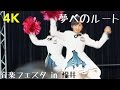 [一眼4K動画] AKB48 Team8 福井ハピリン音楽フェスタ 「夢へのルート」20160507