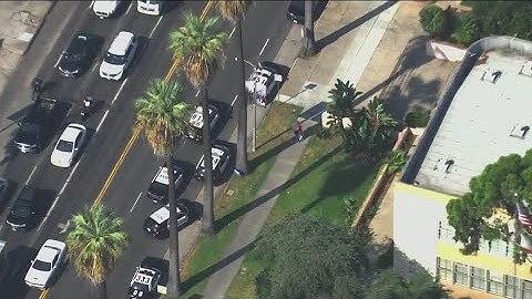 LAPD responding to reports of a shooting at Hollywood High School