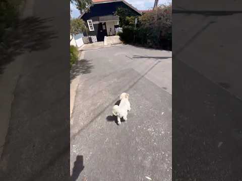 The craziest thing we’ve ever done! 😳