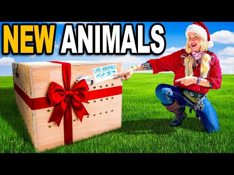We Got Crazy New Animals For Christmas!