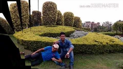 Group - D की परिक्षा के लिए महत्वपूर्ण प्रश्न  देखना न भूले