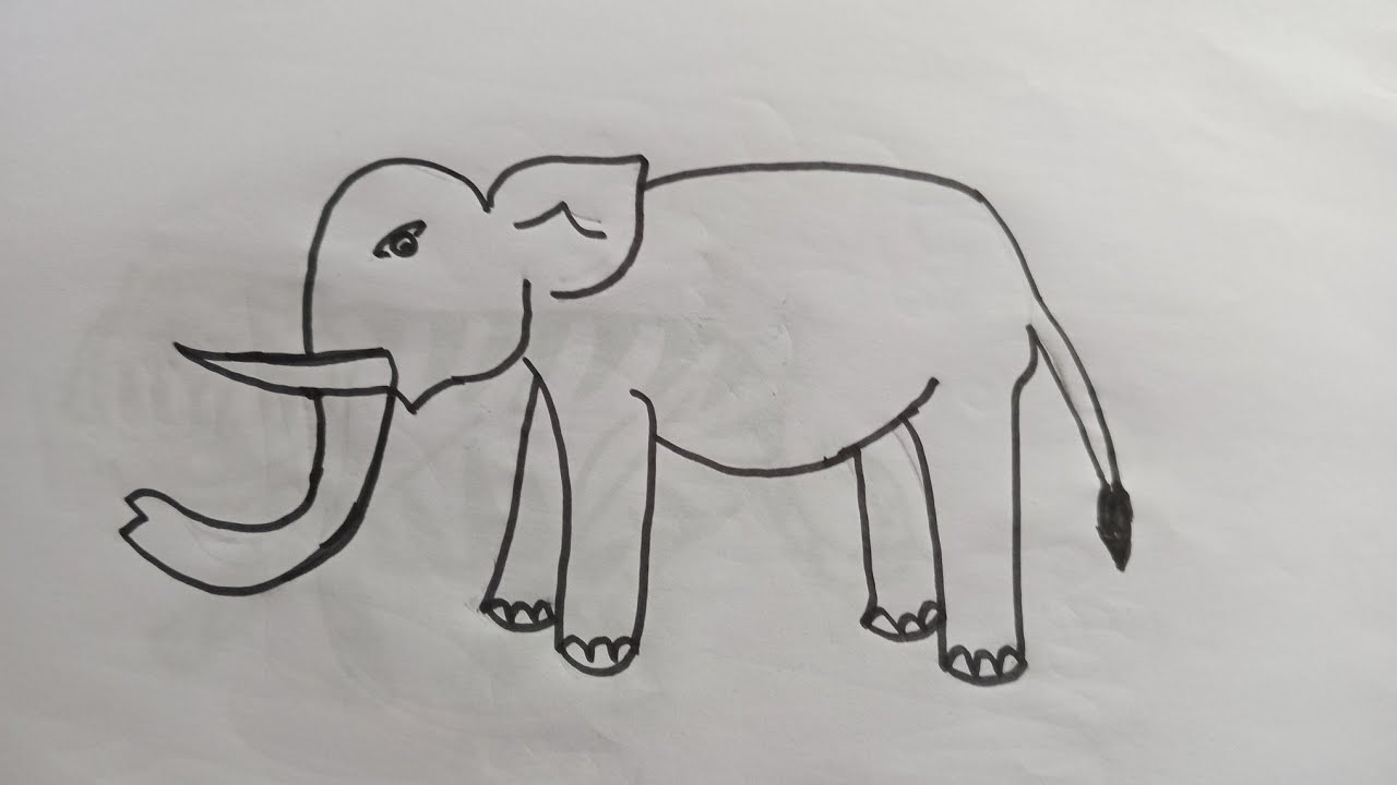 how to draw elephant drawing easy step by step@Kids Drawing Talent