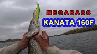 MEGABASS Kanata 160F.Если Каната в ударе,надо пользоваться моментом.Pike Fishing.