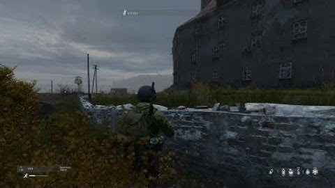 DayZ sniping two moving targets