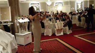 Beethoven: Ode To Joy - Violin Cover by Lotta Virkkunen