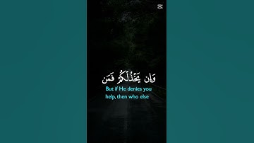 أحترم القران الكريم دقيقة فقط و أكتب #يارب ❤❤❤❤❤❤❤❤❤