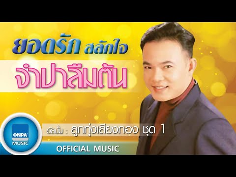 ยอดรัก สลักใจ - จำปาลืมต้น (OFFICIAL MUSIC)