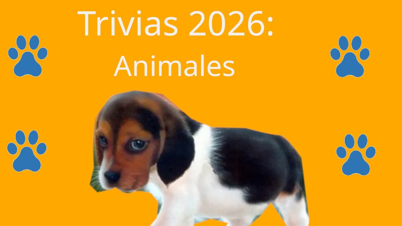 Trivias 2026: Animales