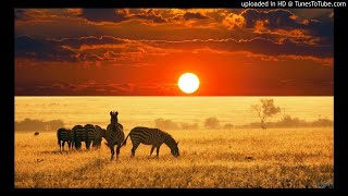 Colours of Sound SA ft. Sandile - Ekhaya (Original)