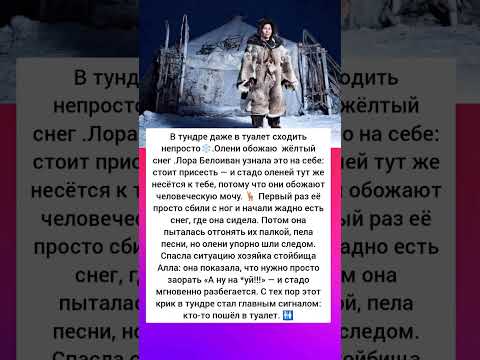 Самый необычный туалет в мире #интересно #истории #история #интересныефакты #люди