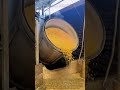 Ancient Craft How Traditional Corn Wine Is Made From Scratch