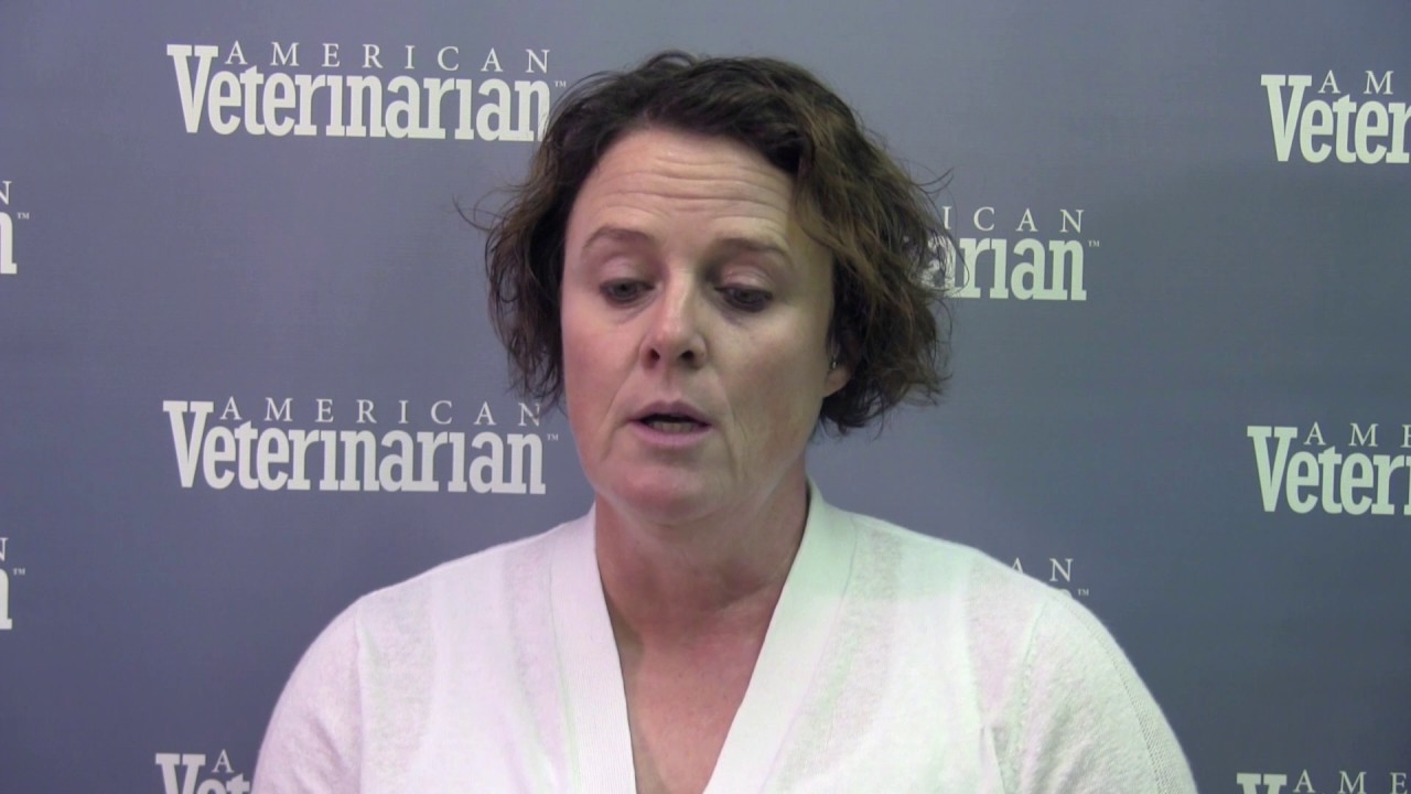 How to Approach an Injured Animal