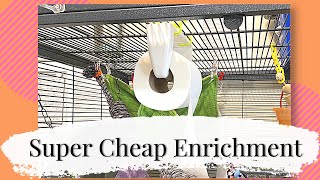 Super Cheap Enrichment for your Rats!