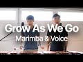 Grow as we go  ben platt marimba and voice duet
