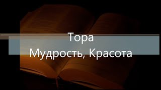 Тора- Мудрость- Красота