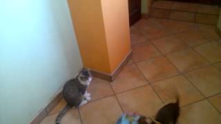 WP 20140906 0021