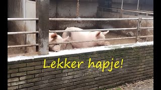 Download Lagu Sneeuw, maar gelukkig doet de airco het. No. 132 MP3