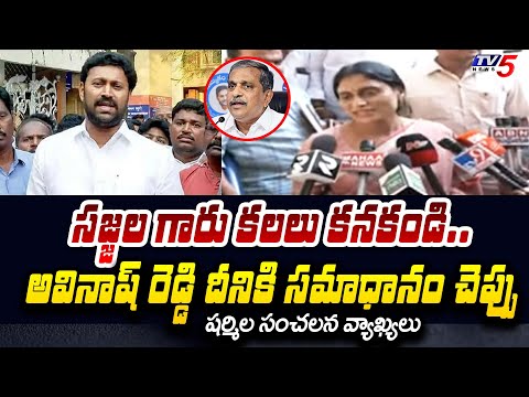 Sharmila SENSATIONAL Challenge to Sajjala Ramakrishna Reddy backslashu0026 YS Avinash Reddy | TV5 News - TV5NEWS