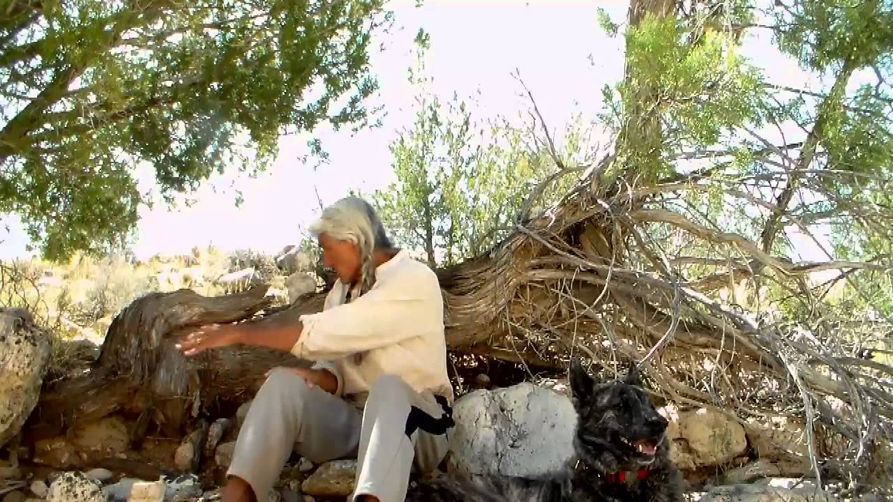 The Union Of Survival & Surrender In The Quest For Peace  ~ Lomakayu