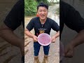 berburu ikan cupang di empang  #shorts #funny #comedy #trending