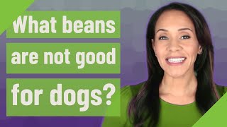 What beans are not good for dogs?