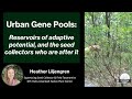 Urban Genetic Pools: Reservoirs of Adaptive Potential and the Seed Collectors Who are After It