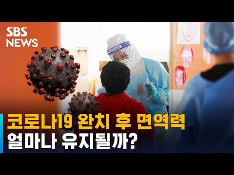 &amp;quot;완치자 58%는 1년 지나도 중화항체 <strong>유지</strong>&amp;quot;…무슨 <strong>뜻</strong>? / SBS