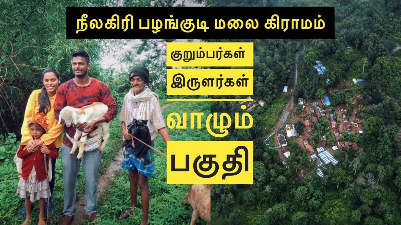 நீலகிரி பழங்குடி மலை கிராமம் | TRIBAL VILLAGES IN KOTAGIRI NILGIRIS |  மலை வாழ் பழங்குடி மக்கள்