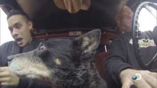 Meet Farmtruck & AZN from Discovery Channel's Street Outlaws Wealth